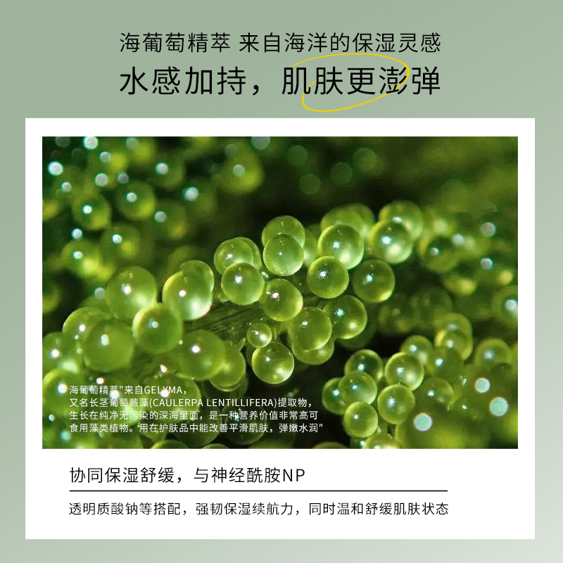 爱心梦缘神经酰胺特护精华液800 3.jpg